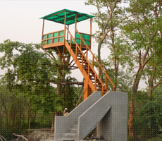 Surajpur Wetland - Natural Forest