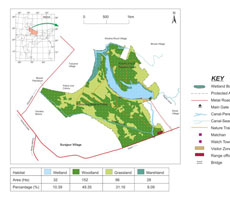 Surajpur Wetland - Natural Forest