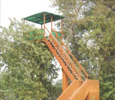 Surajpur Wetland - Natural Forest